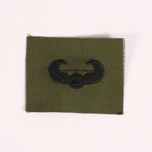 US Air Assault Wings Cloth Subdued