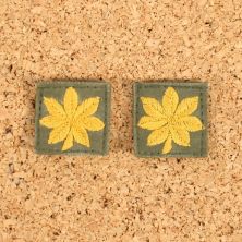 Early cloth Major Rank. Gold on Green. M43 OG 107