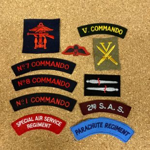 11 British Special Forces Badge set