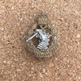 Royal Army Dental Corp Queens Crown Brass cap badge