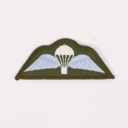 Para Wings Patch Colour